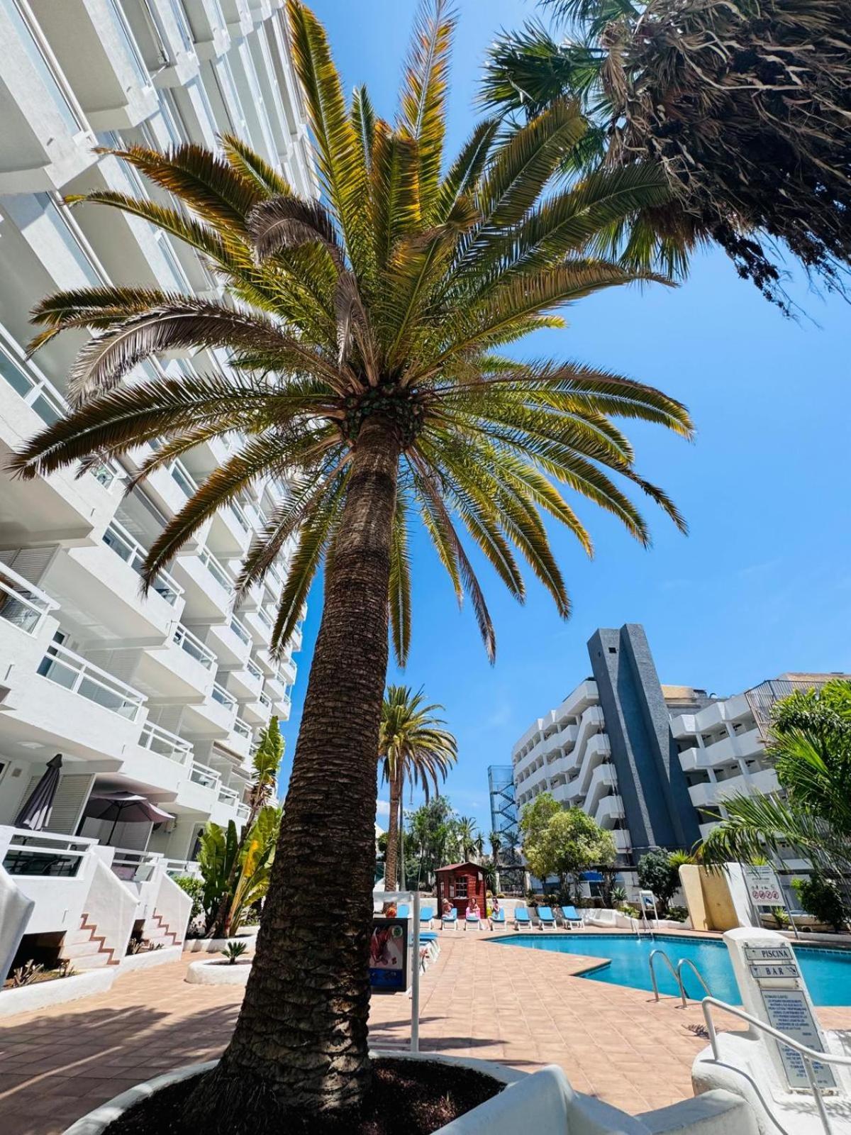 Jameo De Agua, Las Americas Studio Sea View Playa Fanabe Exterior photo