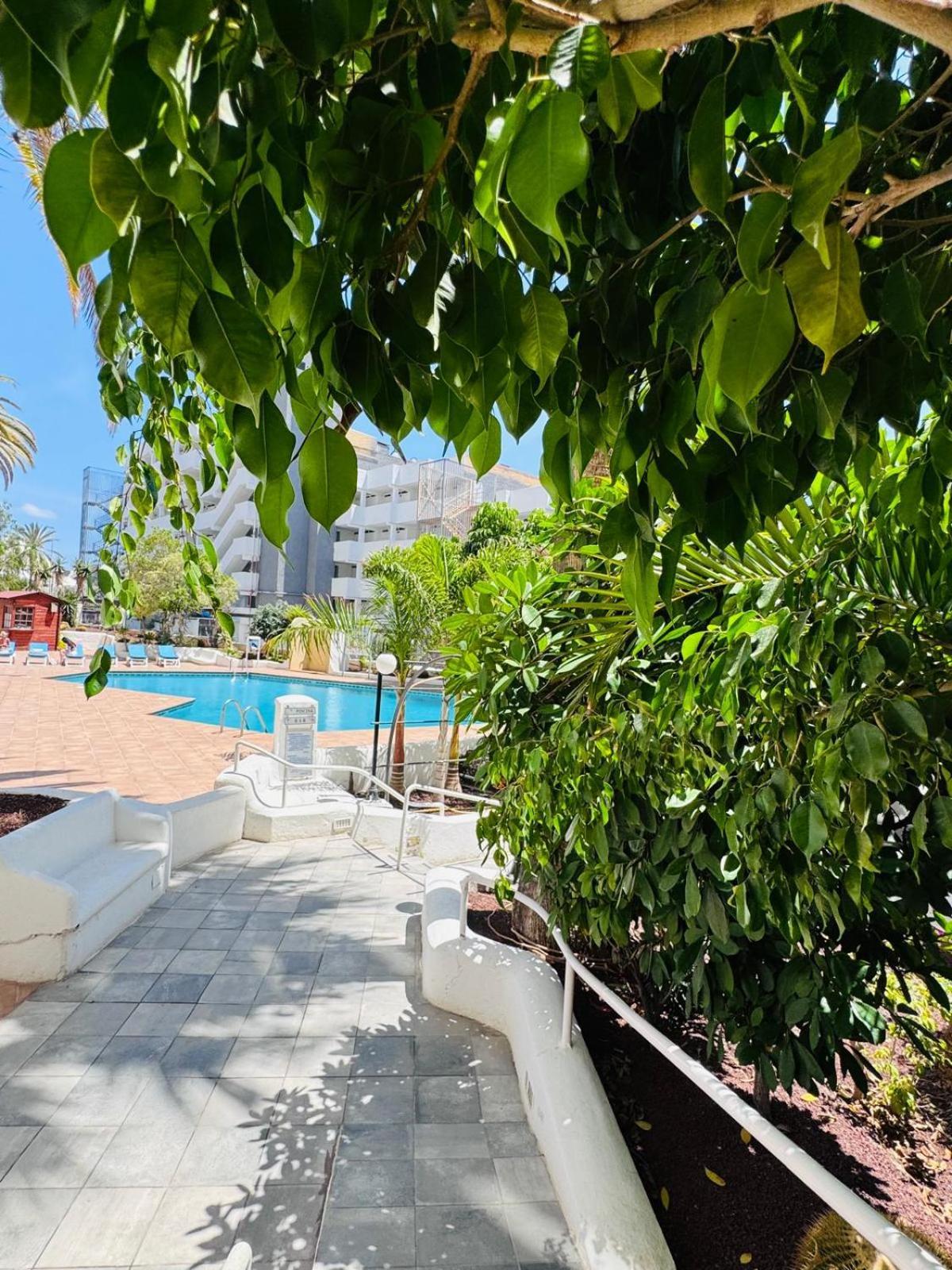 Jameo De Agua, Las Americas Studio Sea View Playa Fanabe Exterior photo