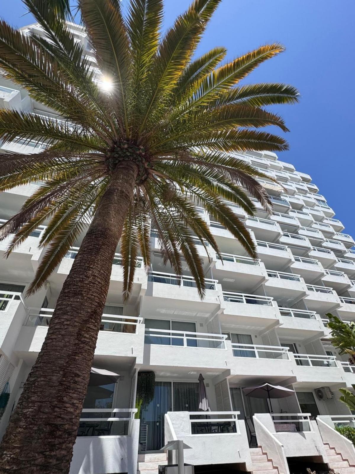 Jameo De Agua, Las Americas Studio Sea View Playa Fanabe Exterior photo